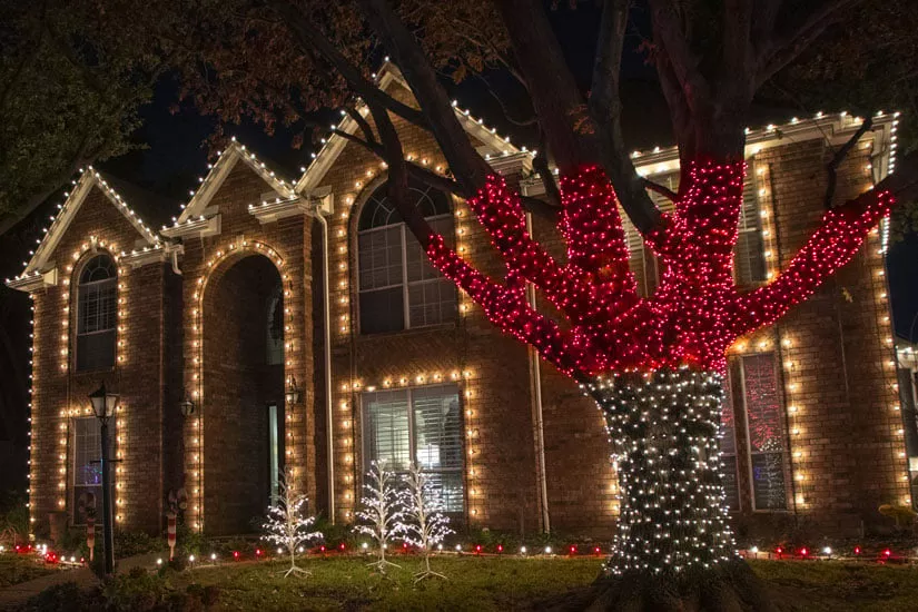 Tree wrapping with lights